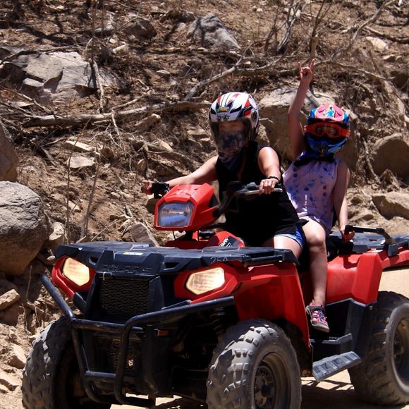 Meet your Posher, Eve - Picture 1 of 1